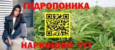 соль ск Будённовск