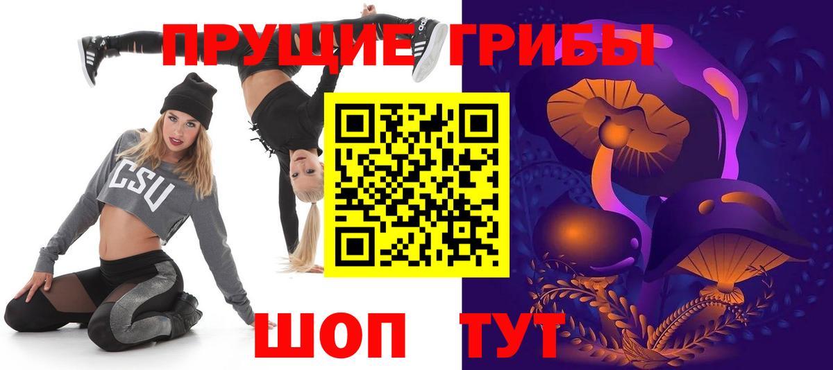Псилоцибиновые грибы Psilocybe Янаул